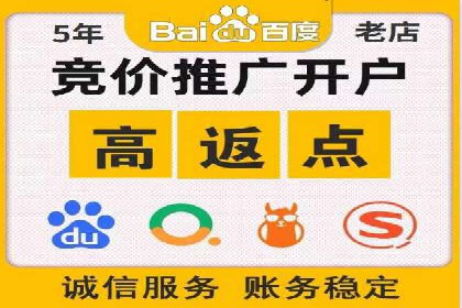 成功SEM服务案例分析报告